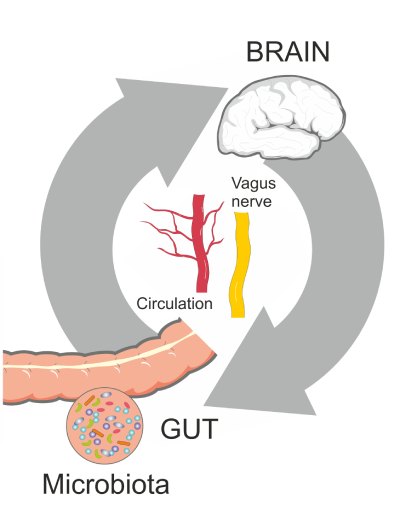 Microbiota Microbiota